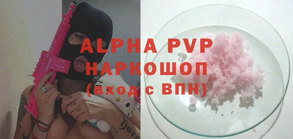 индика Богданович