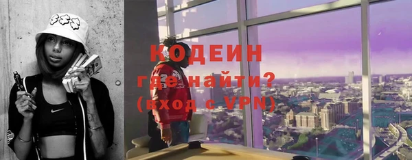 индика Богданович
