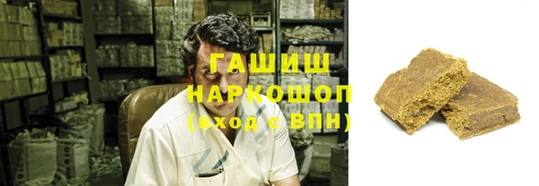 индика Богданович