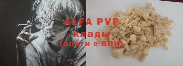 индика Богданович