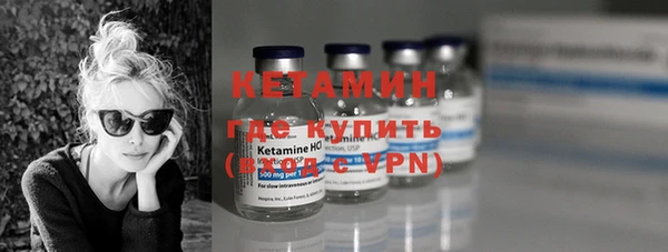 индика Богданович