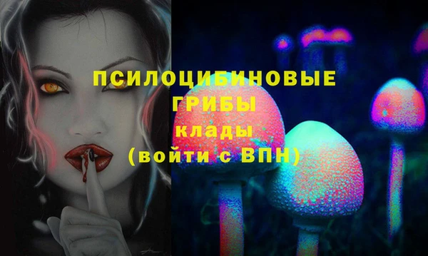 дживик Белоозёрский