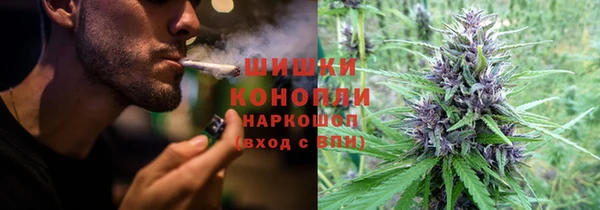 спайс Богородицк