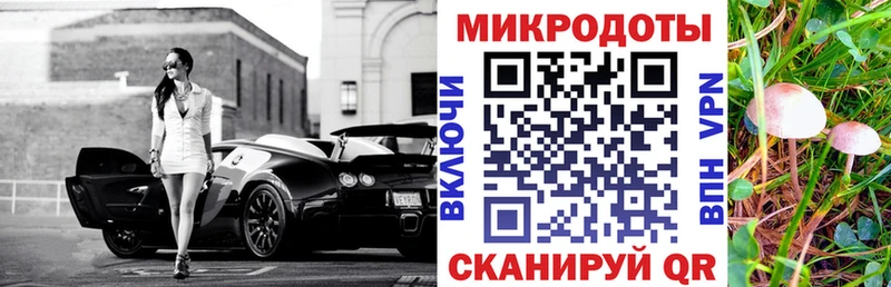 где найти   Бородино  Галлюциногенные грибы MAGIC MUSHROOMS 